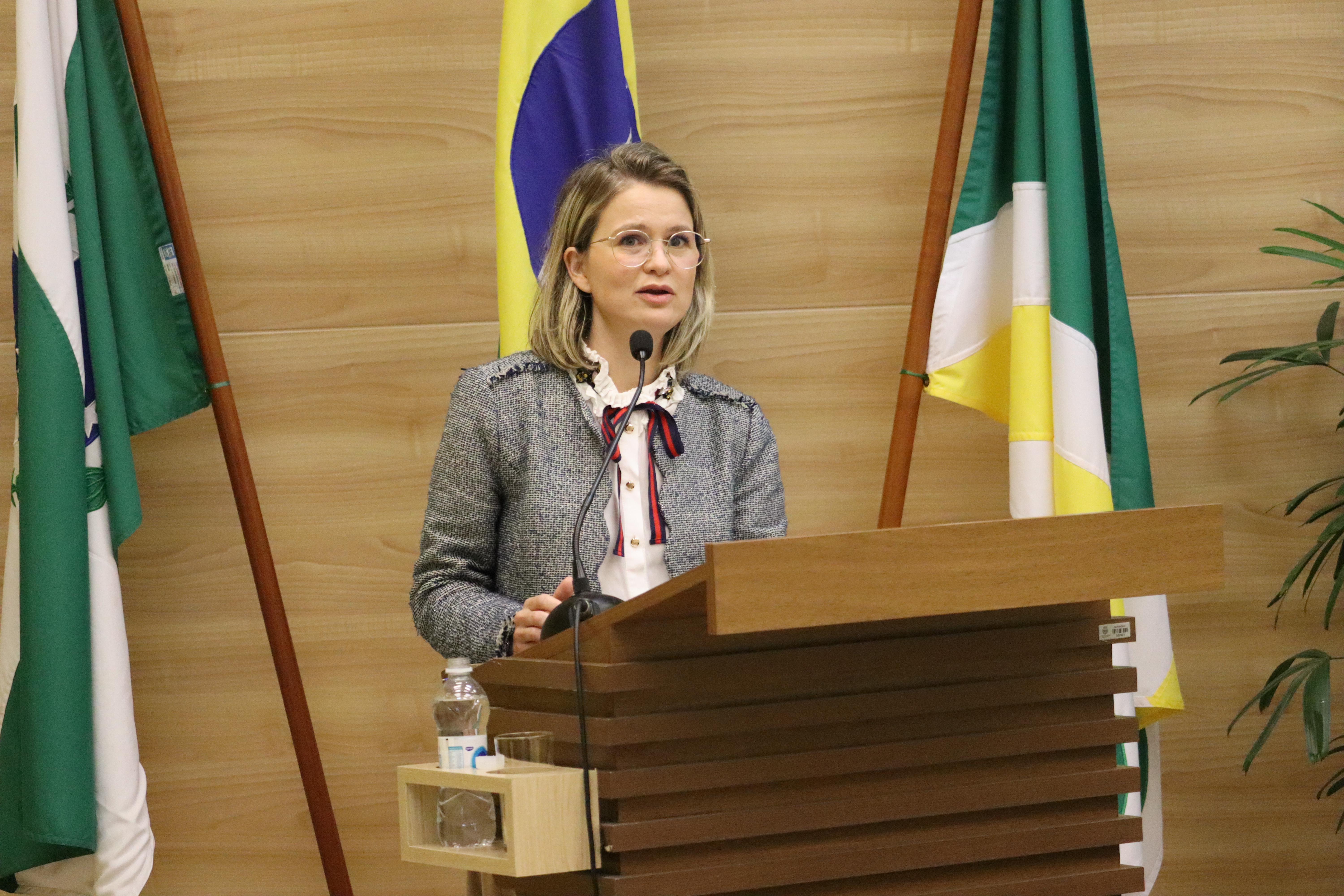 Comissão de Orçamento e Finanças (COF) promove Audiência Pública para debater LDO