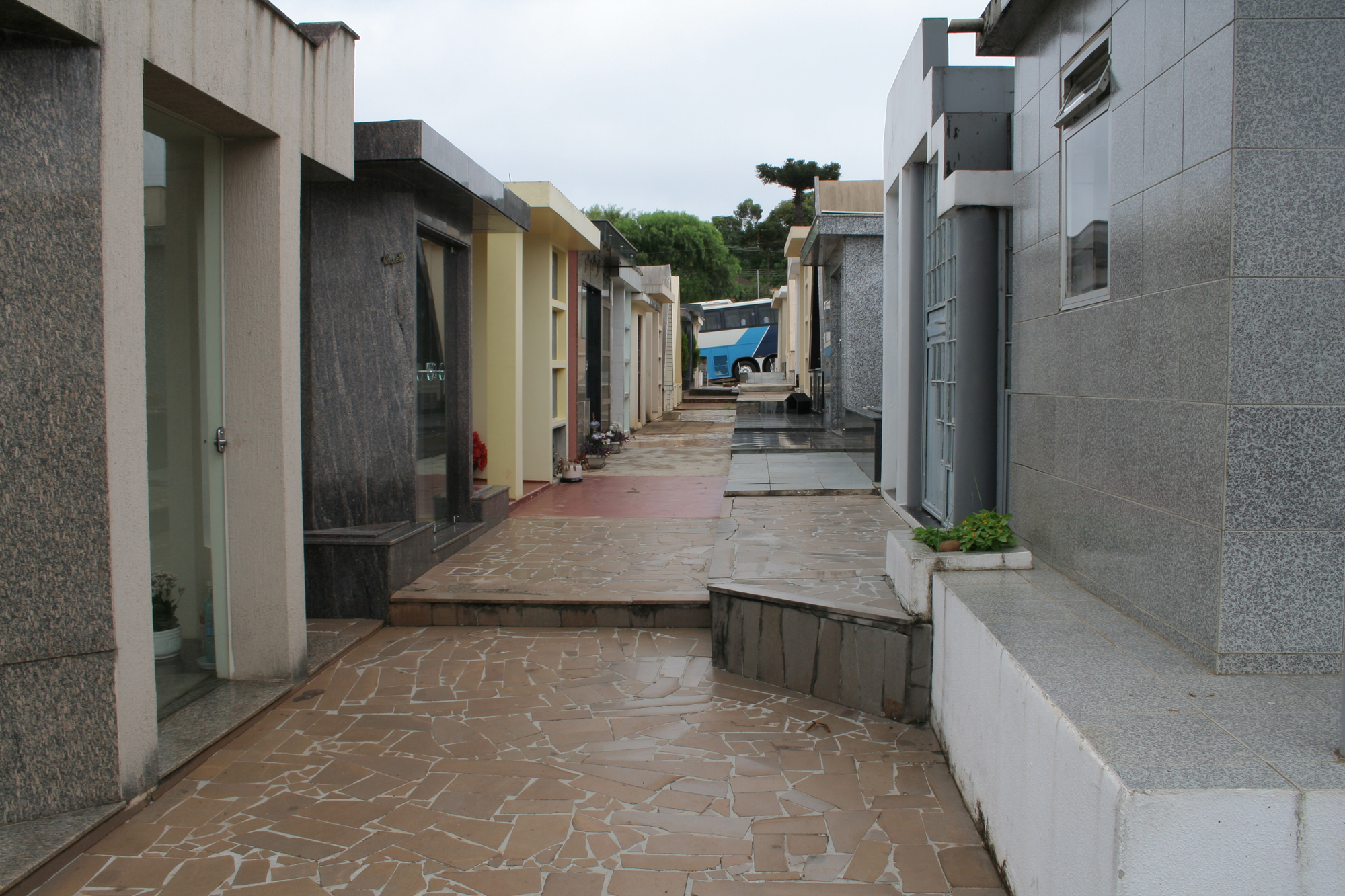 Indicação propõe terceirização de limpeza dos cemitérios